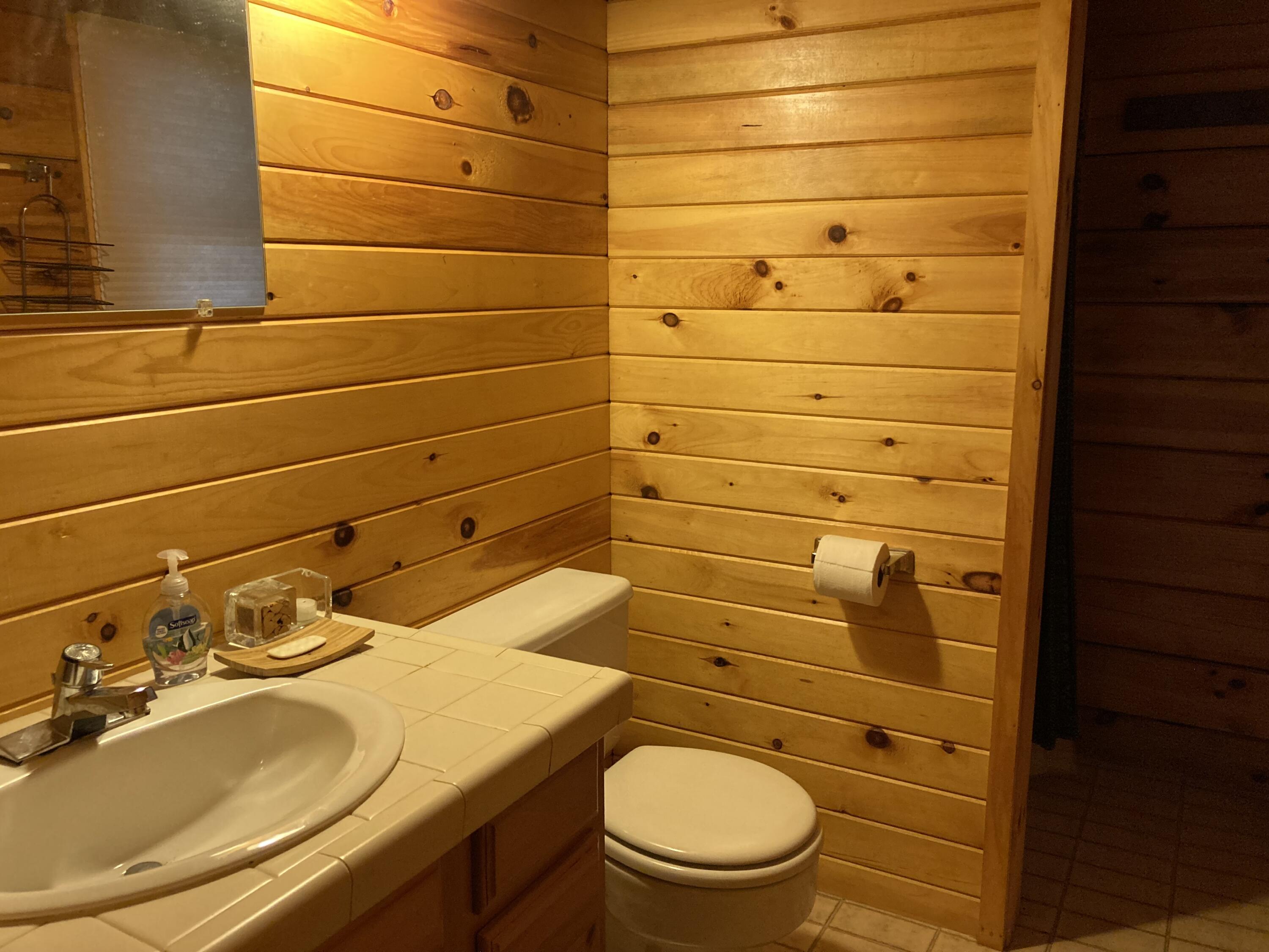 414 River Bend Cherryfield, ME 04622 - Photo 13 of 38 First floor full bath.