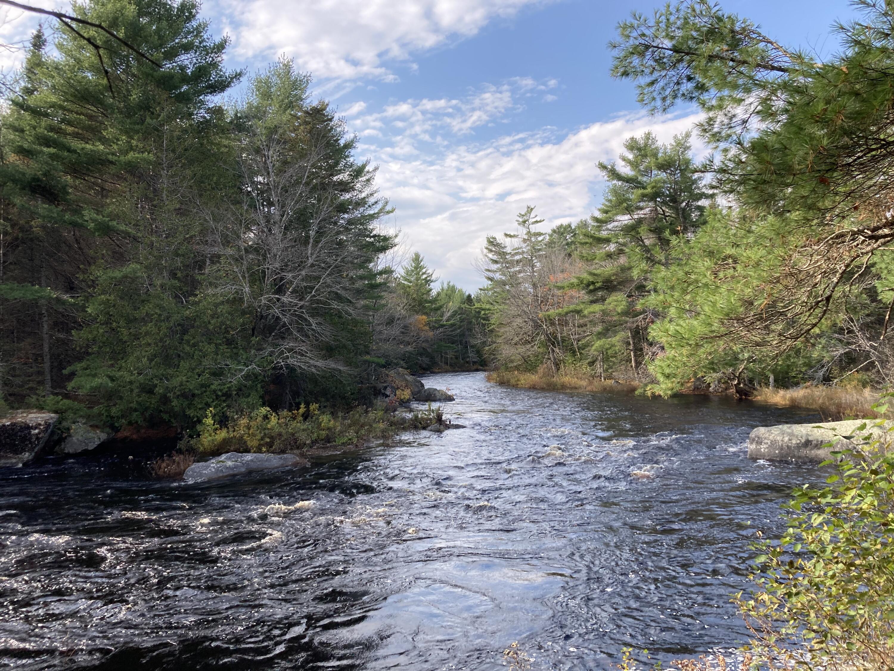 414 River Bend Cherryfield, ME 04622 - Photo 28 of 38 Narraguagus River.