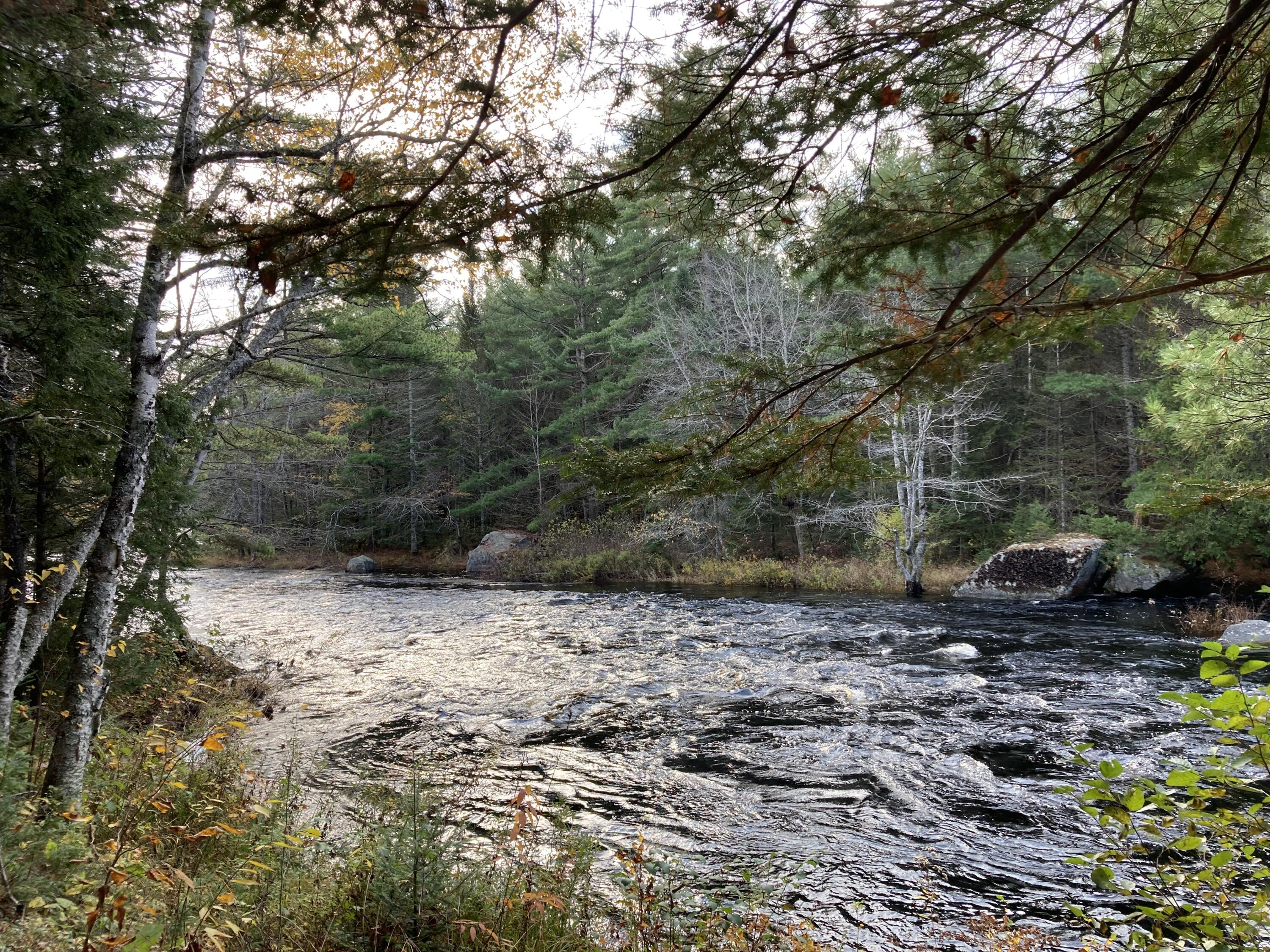 414 River Bend Cherryfield, ME 04622 - Photo 29 of 38 Looking southeasterly direction.