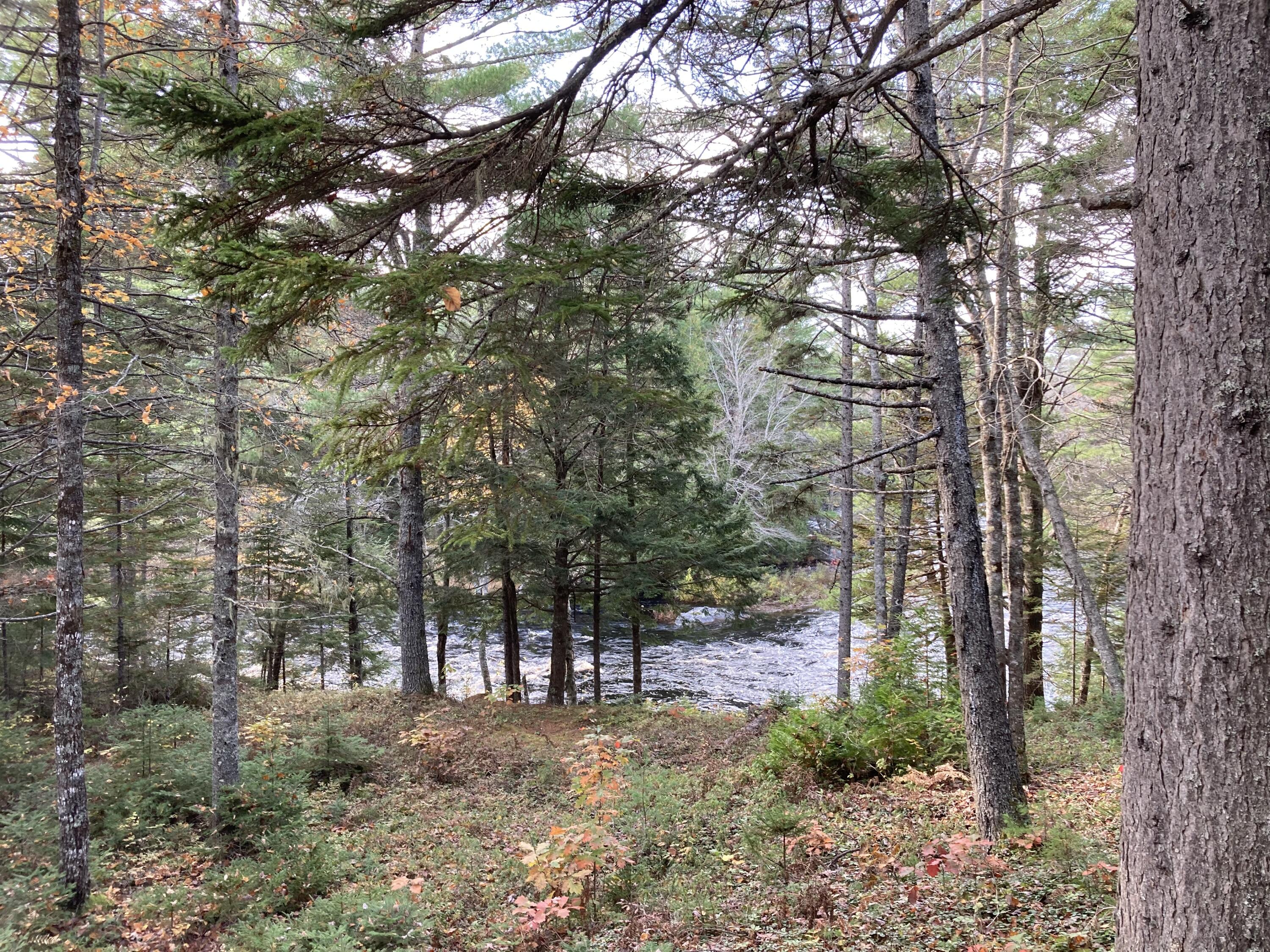 414 River Bend Cherryfield, ME 04622 - Photo 30 of 38 From house to river shore.