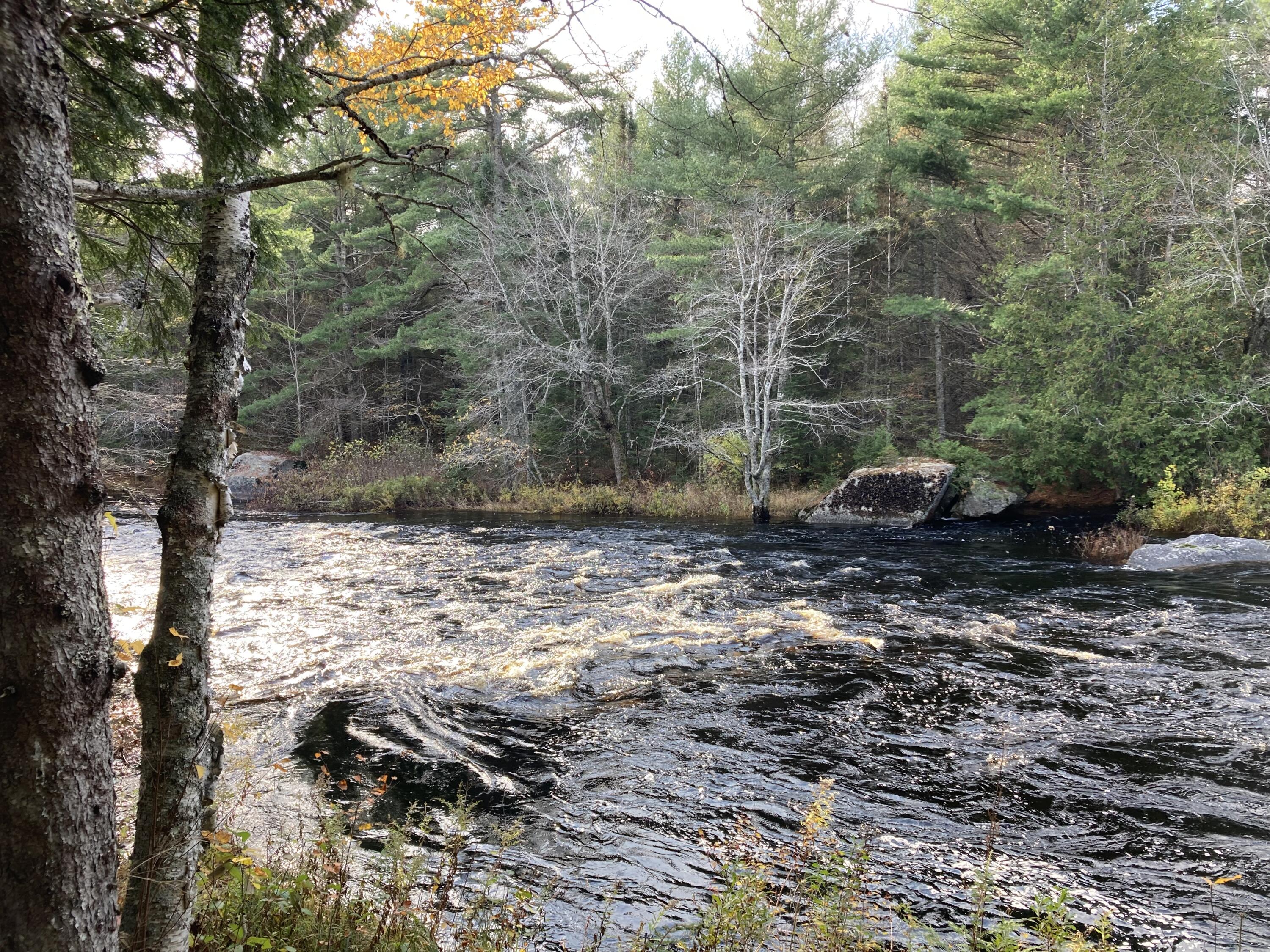414 River Bend Cherryfield, ME 04622 - Photo 3 of 38 995 feet on Narraguagus River.