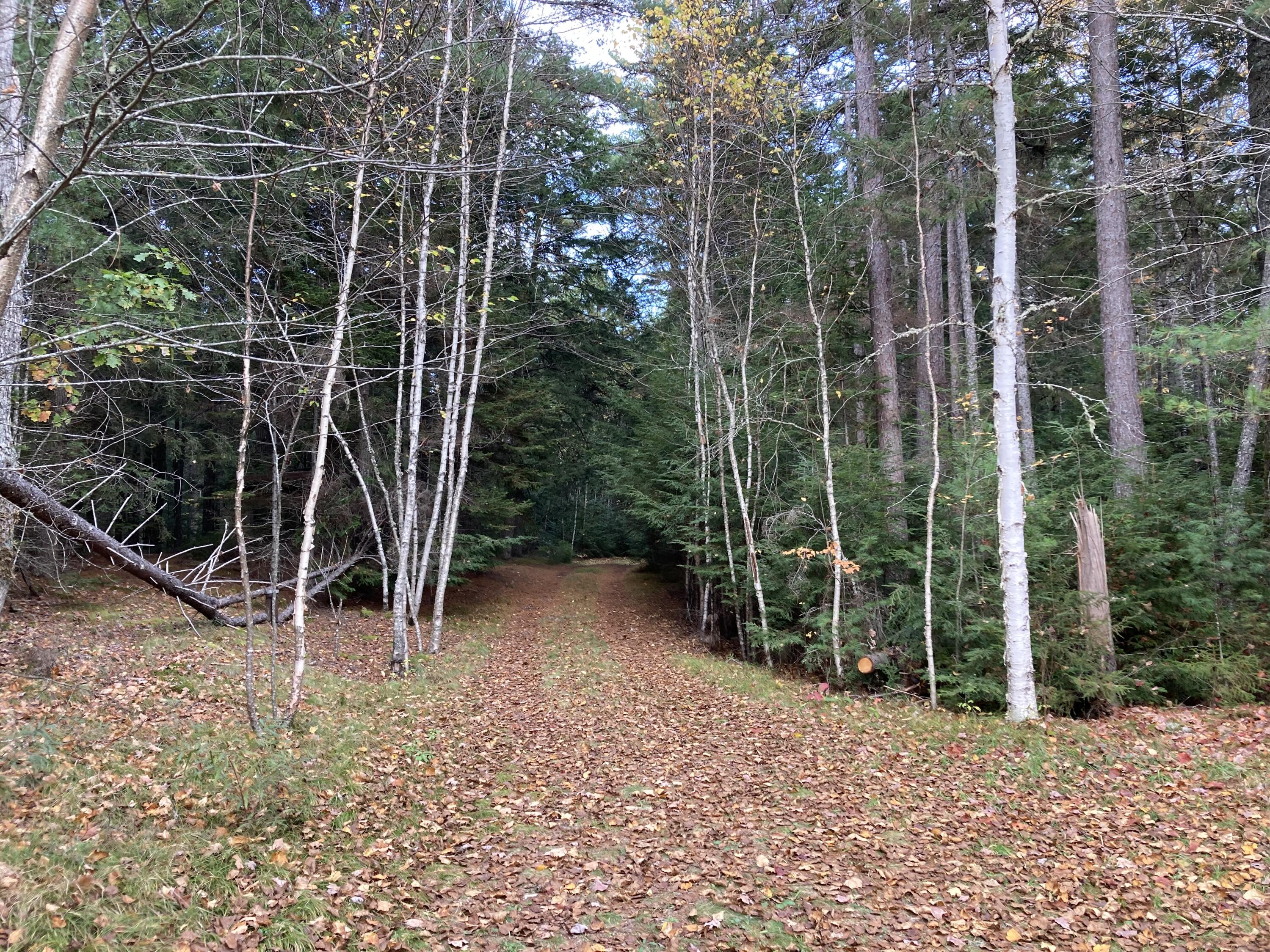 414 River Bend Cherryfield, ME 04622 - Photo 35 of 38 Driveway from River Bend Rd.