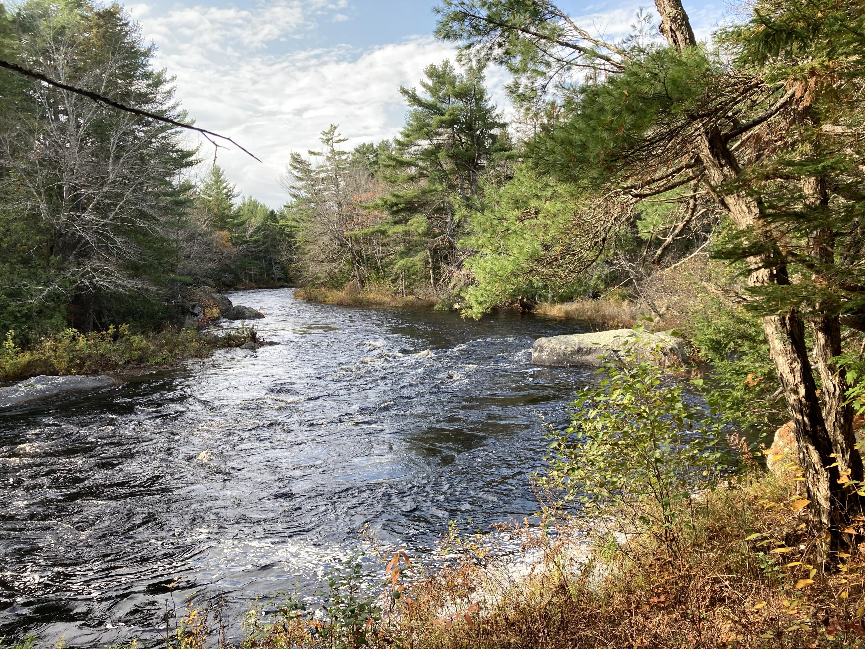 414 River Bend Cherryfield, ME 04622 - Photo 4 of 38 Looking north to River Bend.