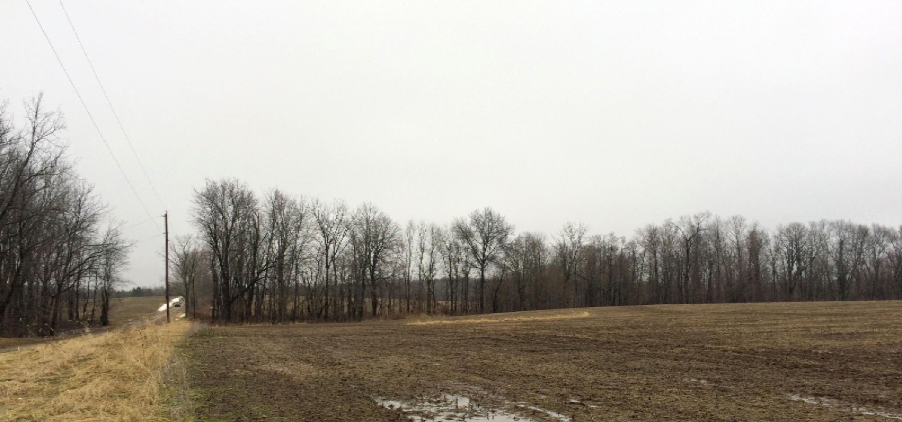 Galien Buchanan Road Buchanan, MI 49107 - Photo 2 of 17 IMG_3695