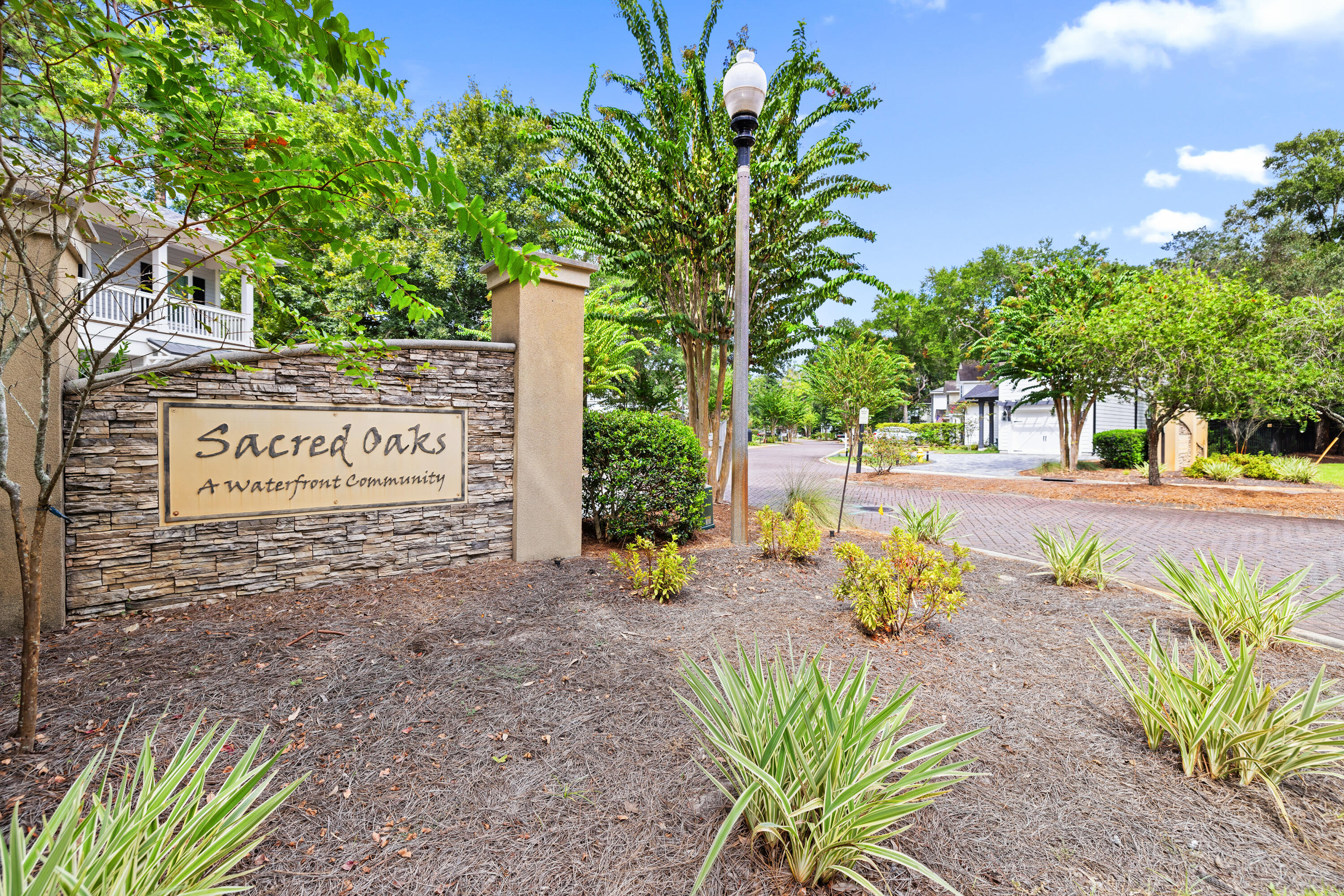 62 Beacon Point Drive Santa Rosa Beach, FL 32459 - Photo 47 of 51 a view of a street with potted plants and large trees