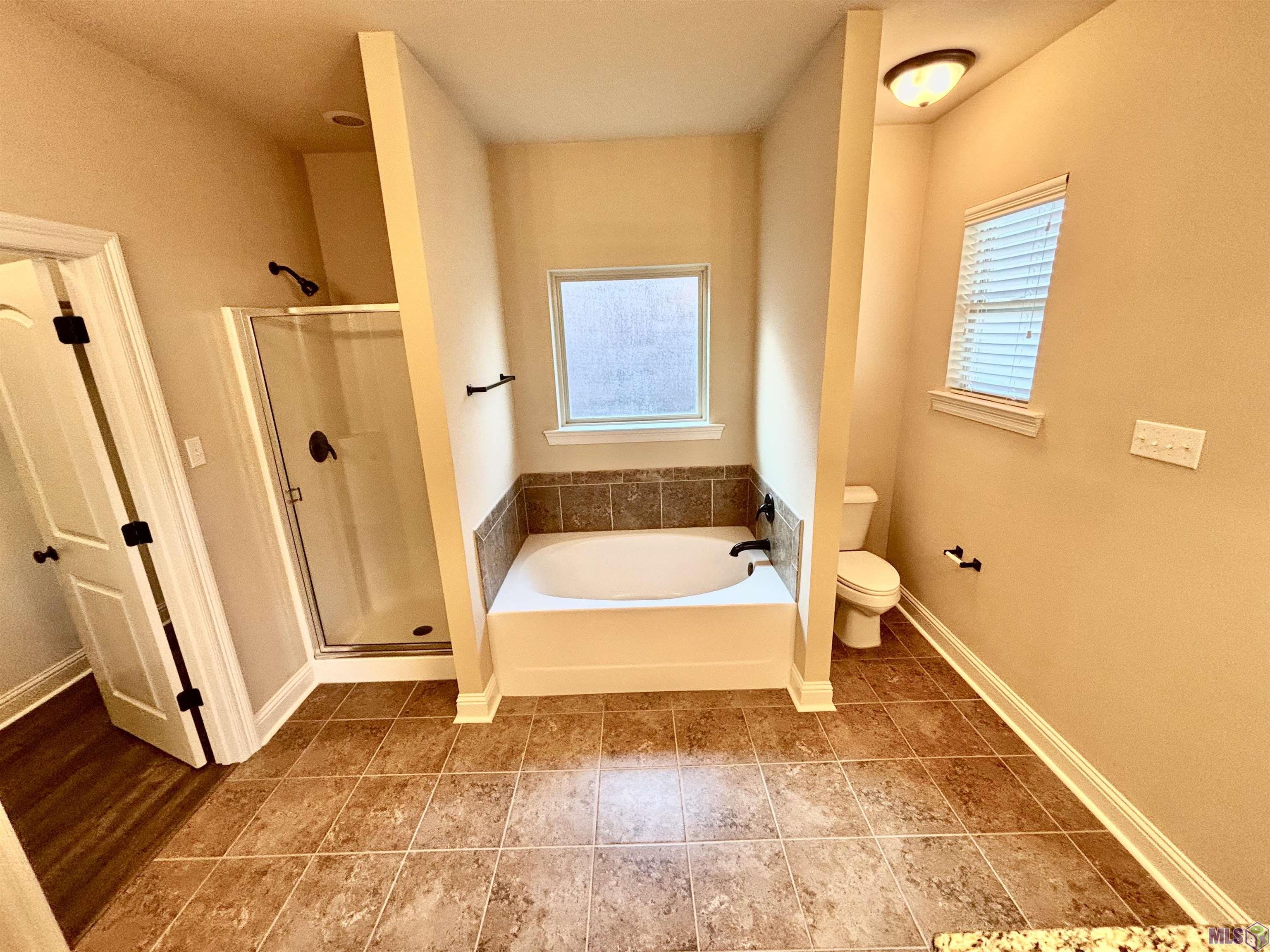 25397 Lake Providence Drive Denham Springs, LA 70726 - Photo 9 of 11