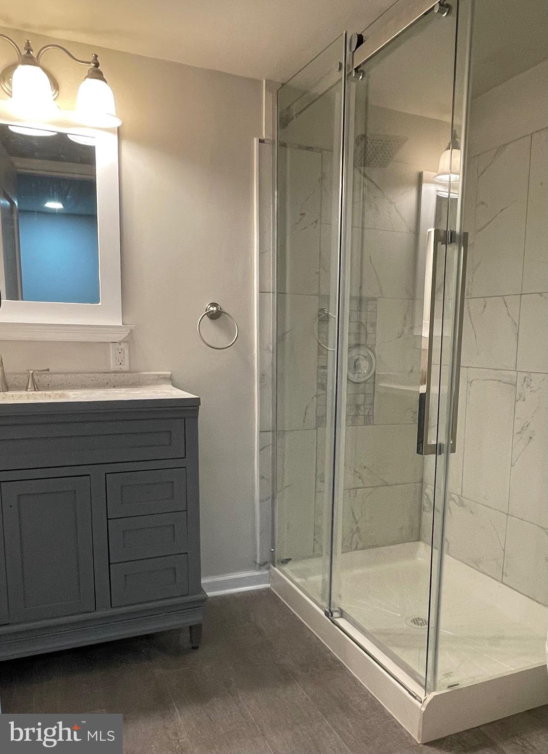 6 Springhouse Court Rising Sun, MD 21911 - Photo 16 of 19 Lower level bathroom