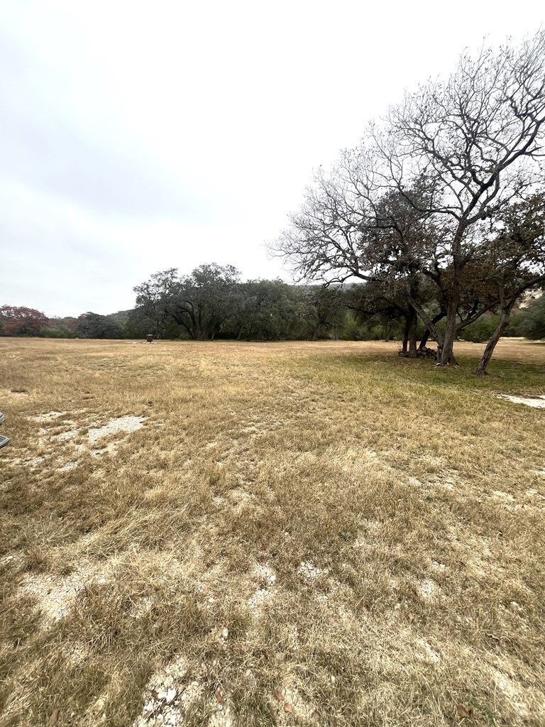 695 Big Shades Road Concan, TX 78838 - Photo 10 of 27
