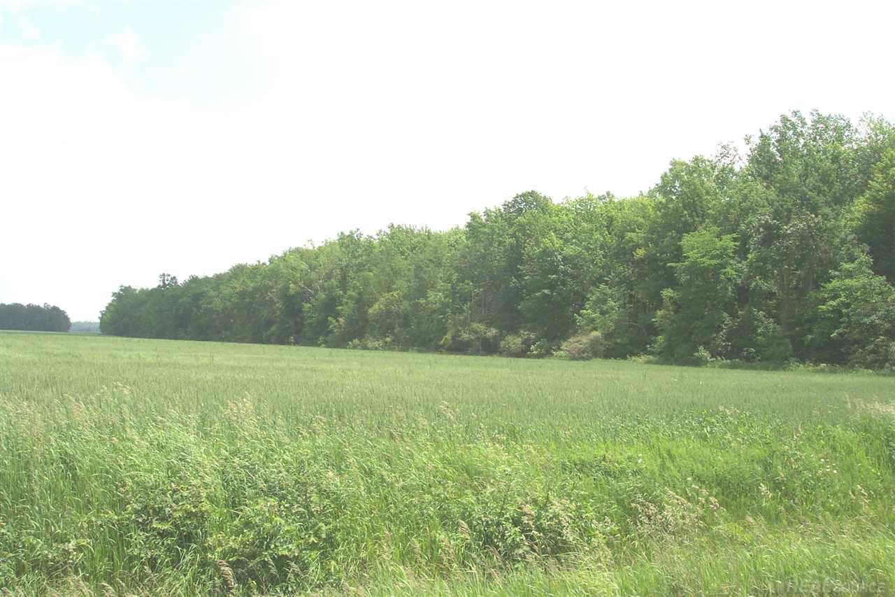 0 Kilgore Croswell, MI 48422 - Photo 5 of 9