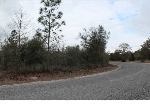 3-lots Painter Branch Road Crestview, FL 32539 - Photo 1 of 4 a black and white photo of a field