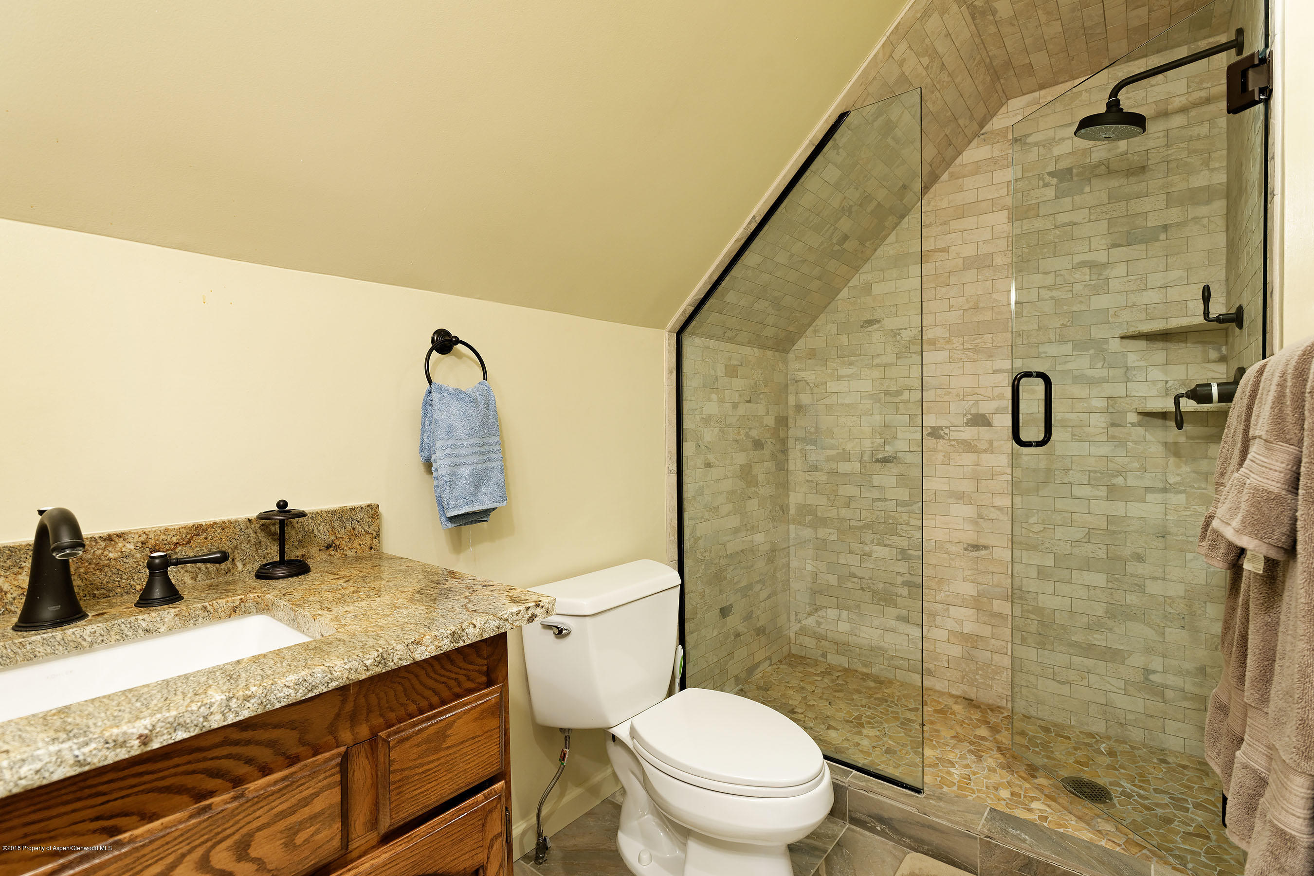 314 West Main Street Aspen, CO 81611 - Photo 13 of 20 a bathroom with a granite countertop sink a toilet and shower
