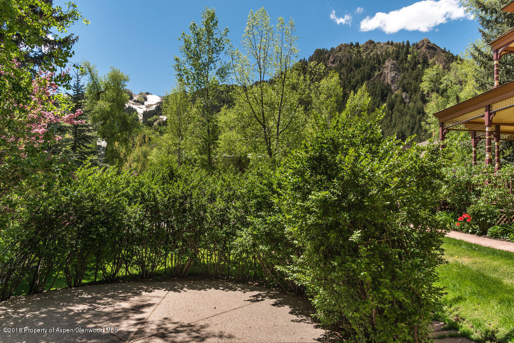 314 West Main Street Aspen, CO 81611 - Photo 18 of 20 a view of a yard with plants and large trees