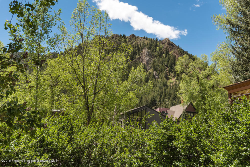 314 West Main Street Aspen, CO 81611 - Photo 20 of 20 a view of a house with a forest