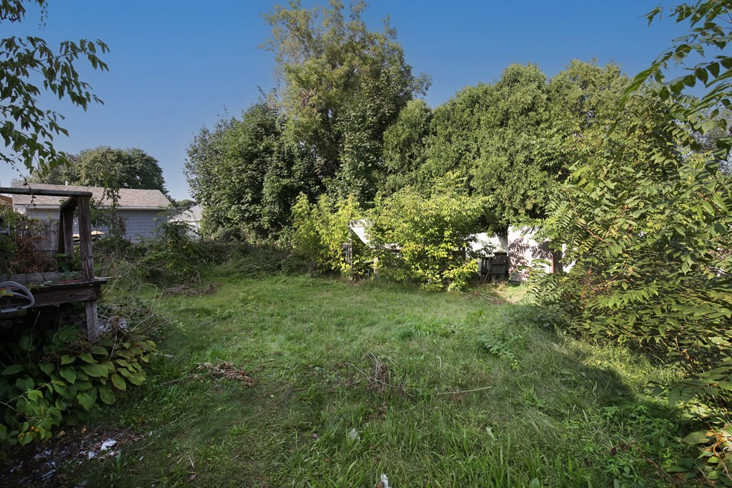 41 Echo Avenue Beverly, MA 01915 - Photo 5 of 24 a view of yard with green space