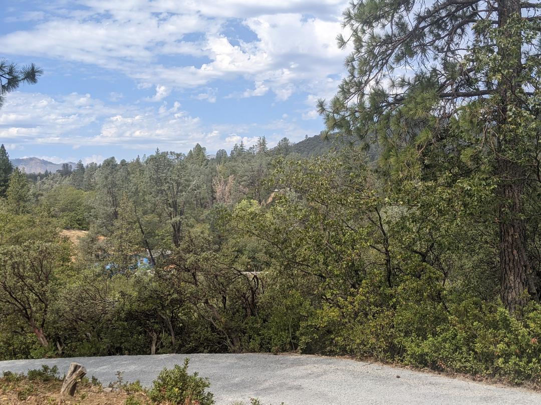 12877 Bobs Mountain Road Redding, CA 96003 - Photo 31 of 51 a view of a bunch of trees