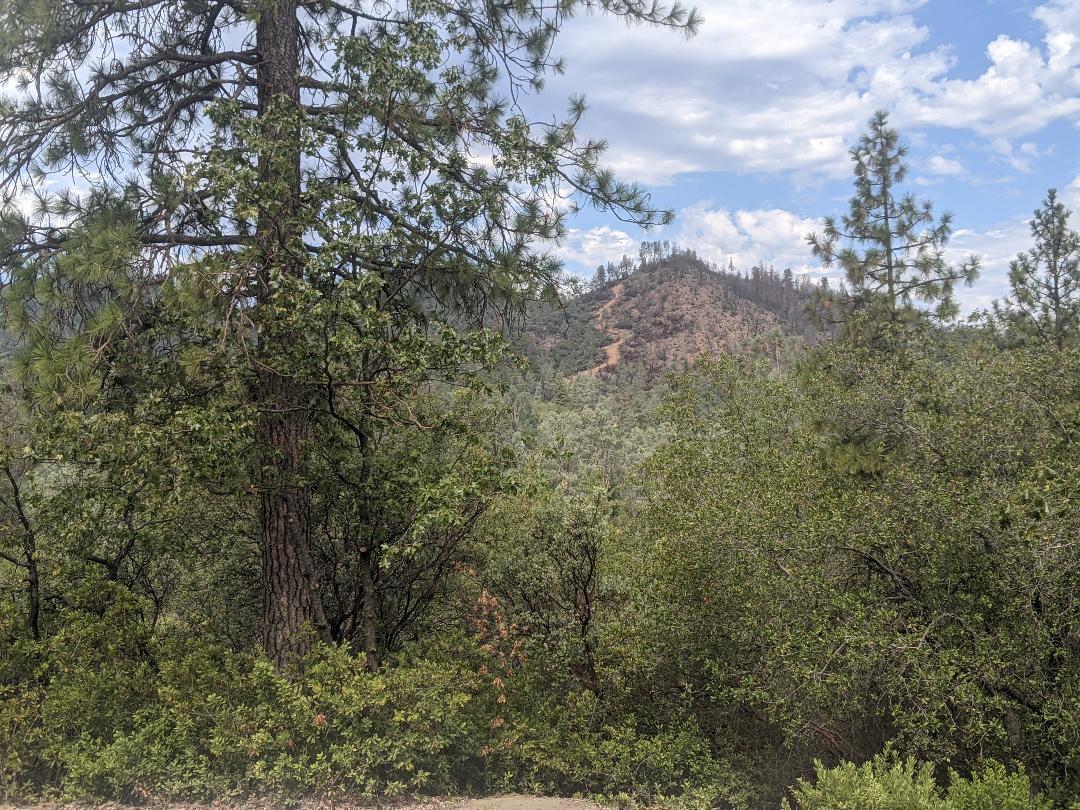 12877 Bobs Mountain Road Redding, CA 96003 - Photo 32 of 51 a view of a city with lush green forest