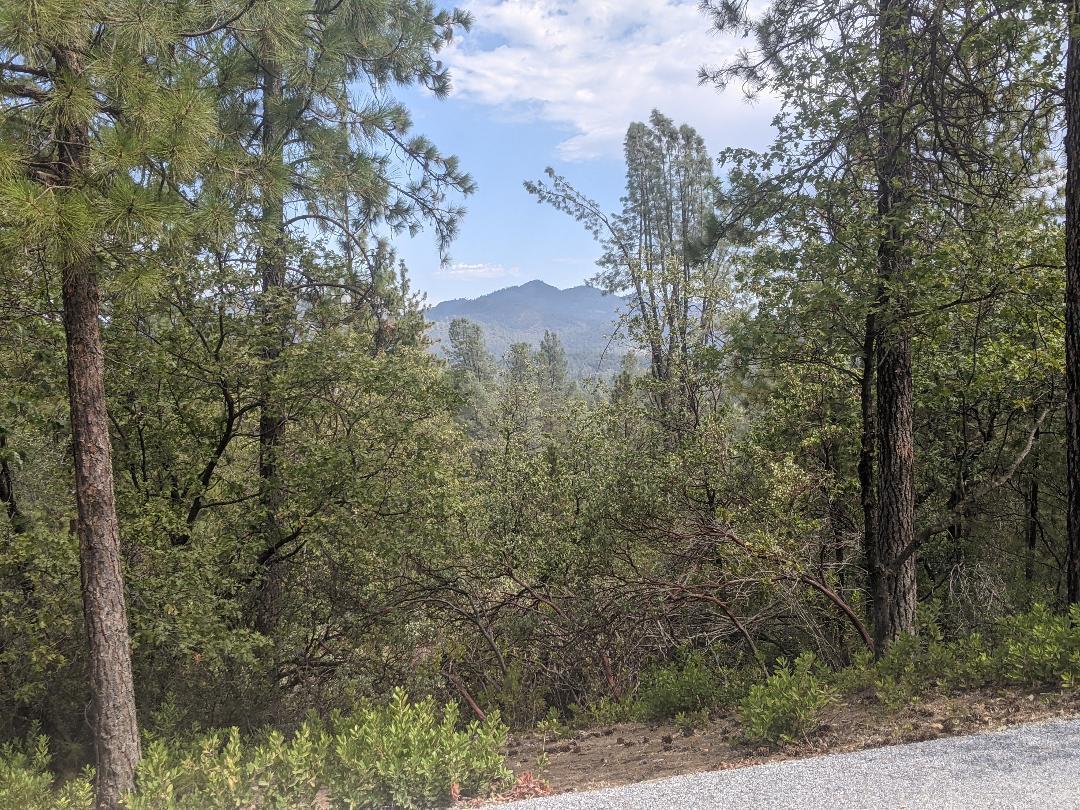 12877 Bobs Mountain Road Redding, CA 96003 - Photo 33 of 51 a view of a forest with lots of trees
