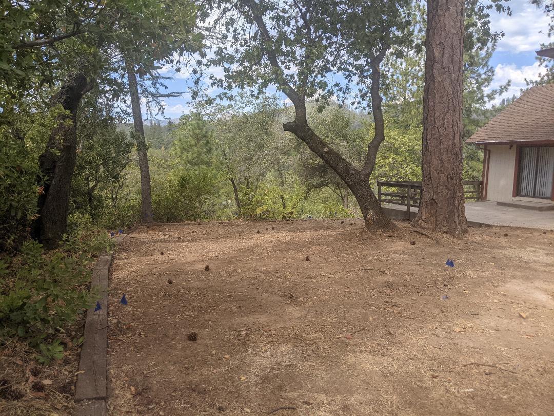 12877 Bobs Mountain Road Redding, CA 96003 - Photo 36 of 51 a view of a forest with trees in the background