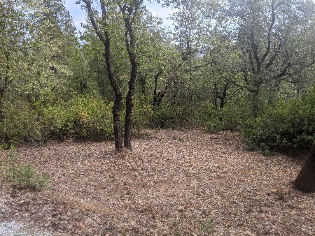 12877 Bobs Mountain Road Redding, CA 96003 - Photo 49 of 51 a view of a forest with trees in the background