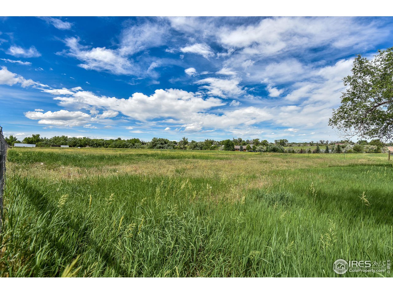 528 Richards Lake Road Fort Collins, CO 80524 - Photo 6 of 9 Gallery Image 6