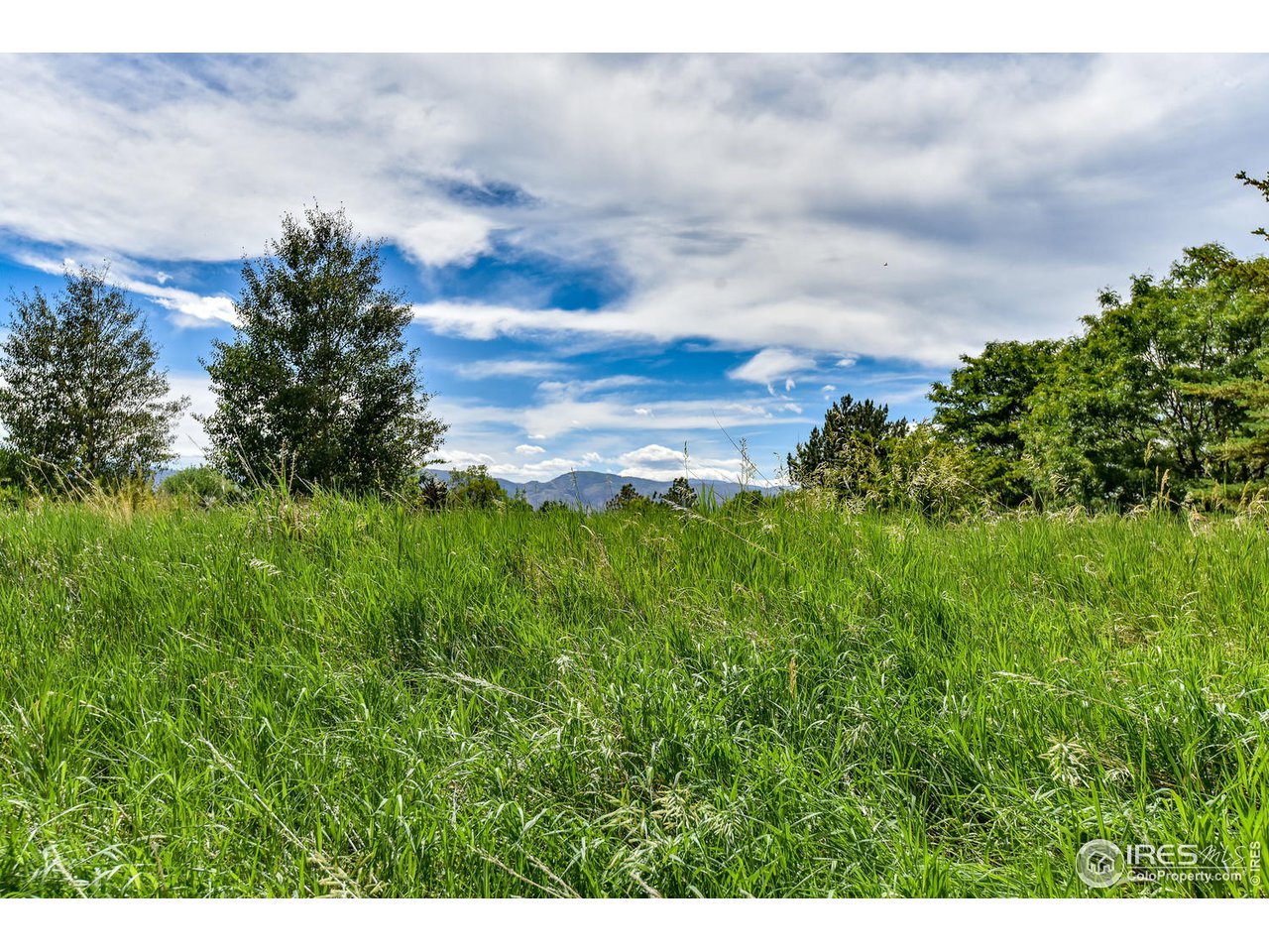 528 Richards Lake Road Fort Collins, CO 80524 - Photo 7 of 9 Gallery Image 7