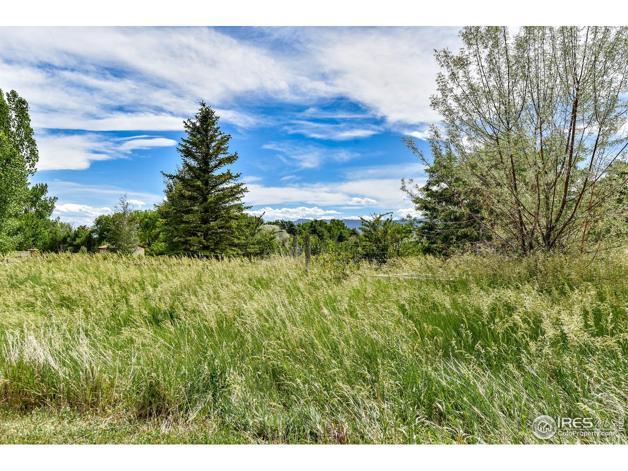 528 Richards Lake Road Fort Collins, CO 80524 - Photo 8 of 9 Gallery Image 8