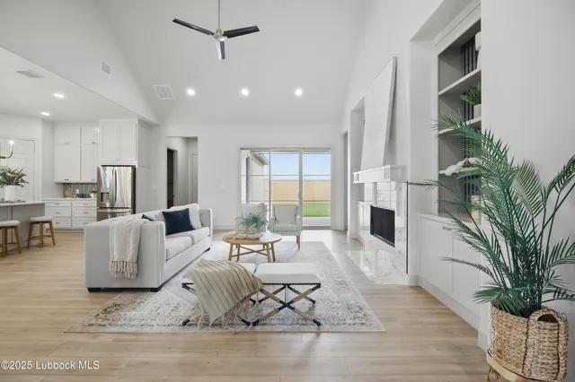 a living room with furniture fireplace and a potted plant
