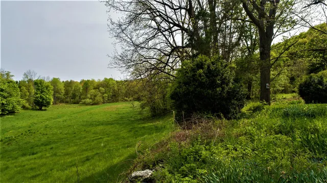 a view of outdoor space and yard