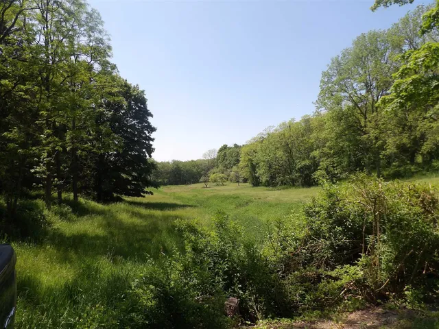 a view of a lush green space
