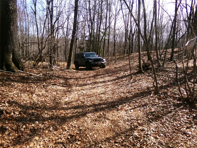 a view of outdoor space with deck and trees