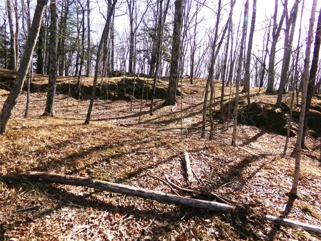 a view of outdoor space with yard