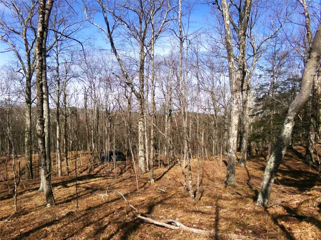 a view of covered with snow