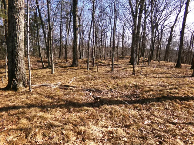a view of yard with trees