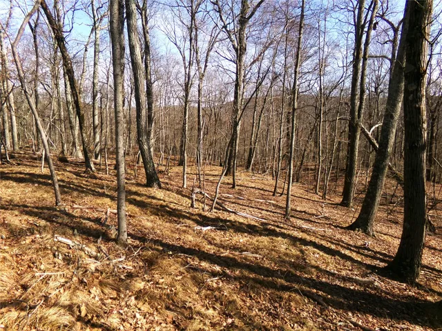a view of a backyard of the house