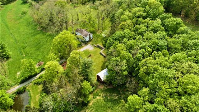 a backyard of a house with lots of trees