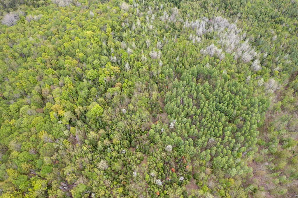 13-10 Dore Hill Road Athens, ME 04912 - Photo 14 of 47 DJI_0071