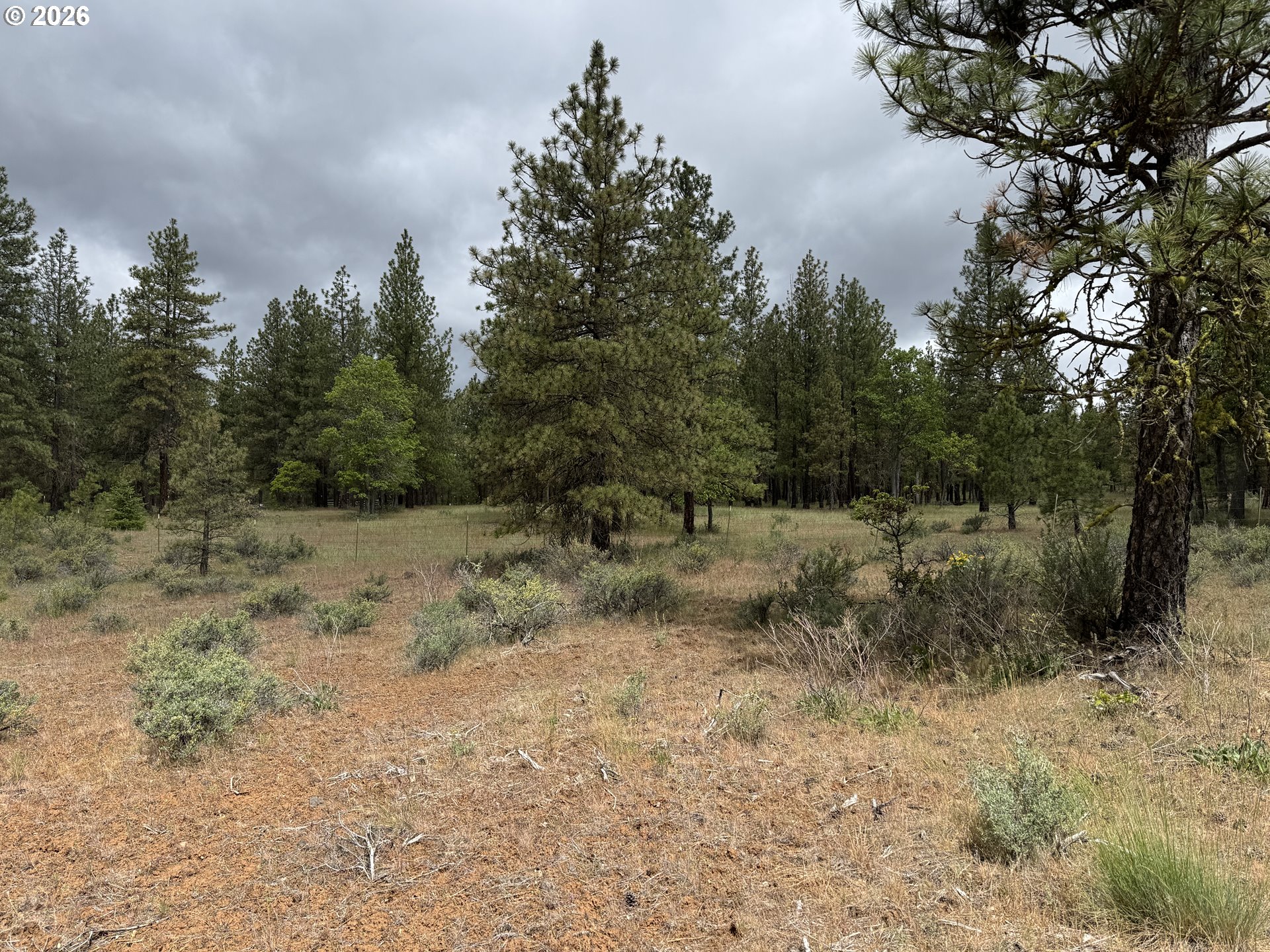 Old Mountain Road Goldendale, WA 98620 - Photo 8 of 41