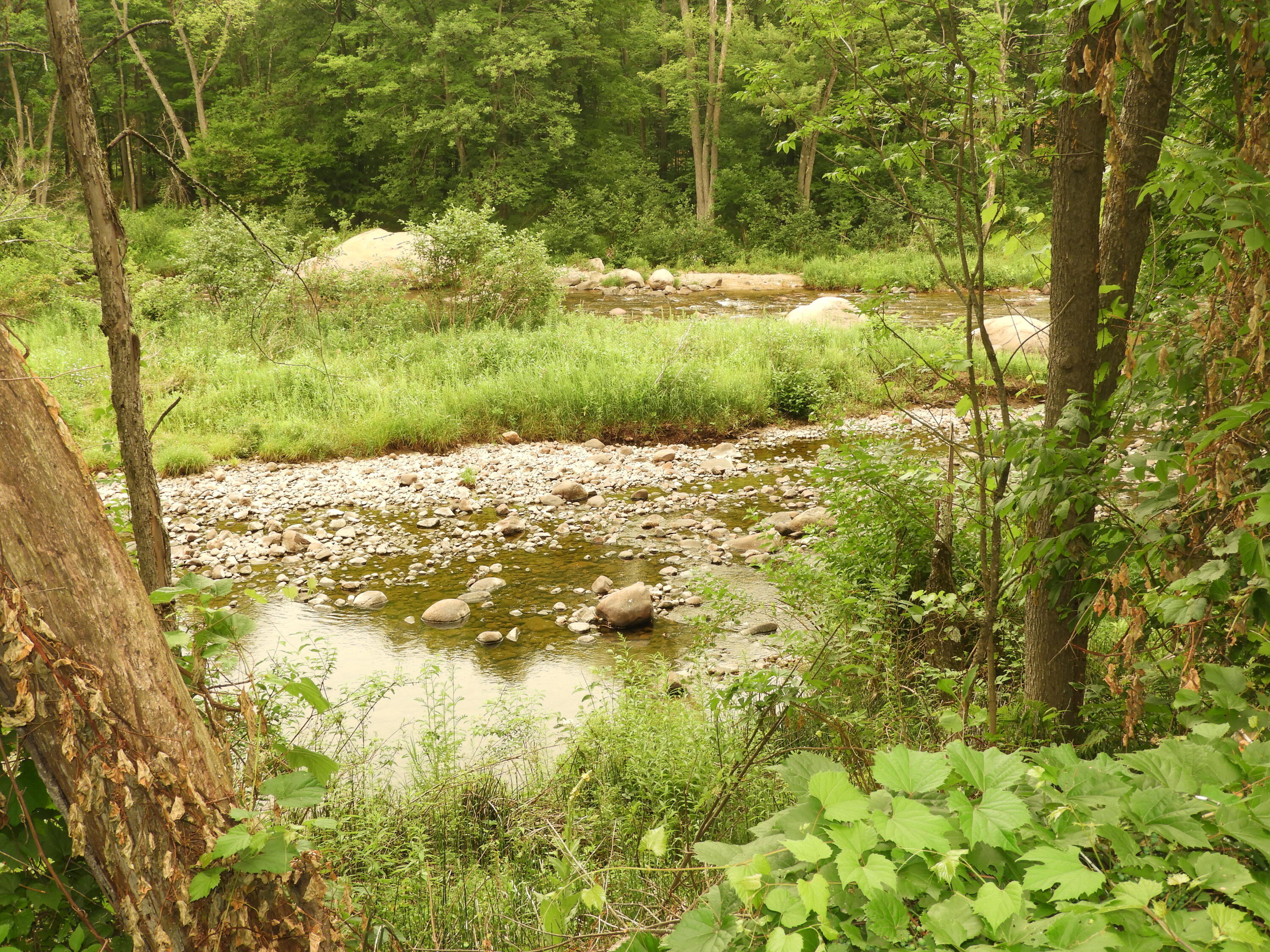 391 Sheldrake Road Au Sable Forks, NY 12912 - Photo 7 of 28