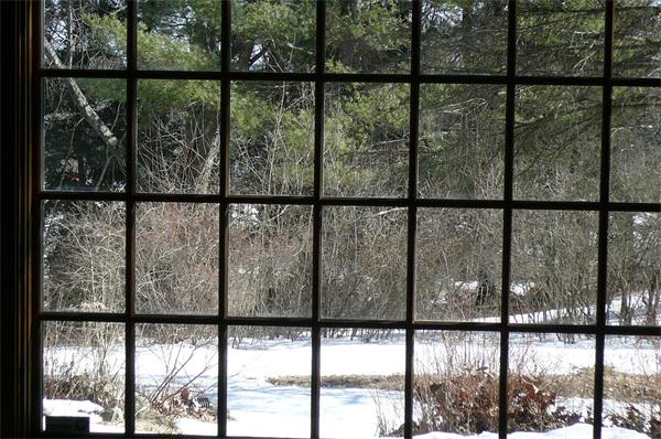 563 Montague Road Amherst, MA 01002 - Photo 7 of 15 a view of outdoor from window