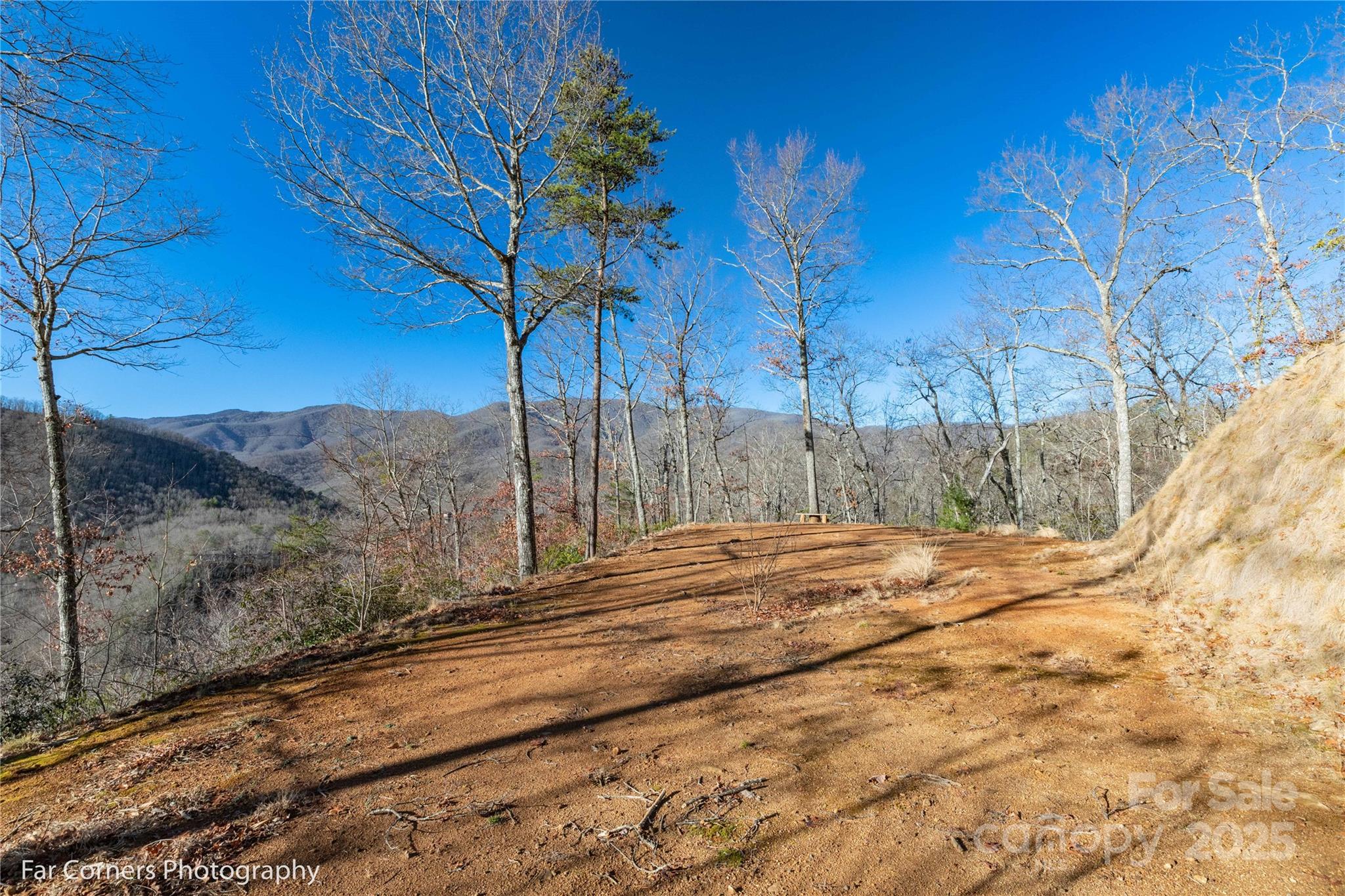 0 Sourwood Road Canton, NC 28716 - Photo 11 of 35 a view of a backyard of a house
