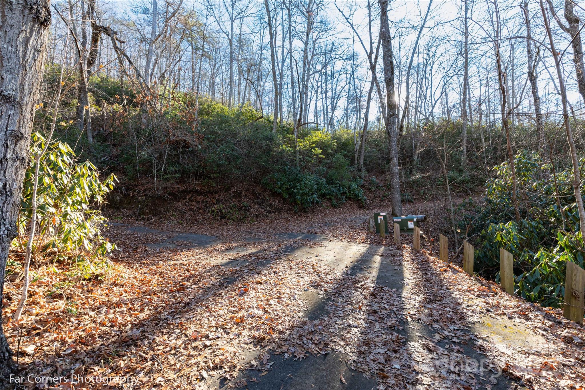 0 Sourwood Road Canton, NC 28716 - Photo 16 of 35 a view of a yard with plants and trees