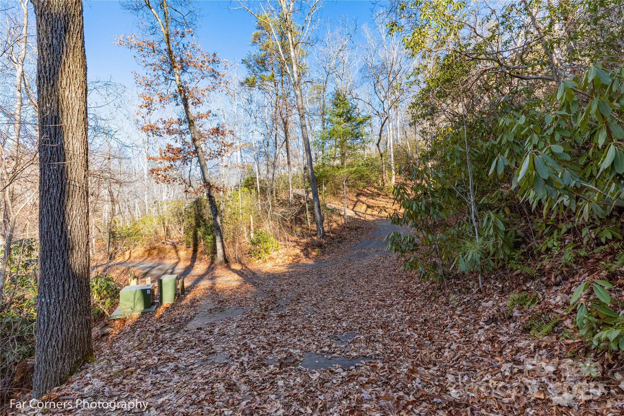 0 Sourwood Road Canton, NC 28716 - Photo 21 of 35 a view of a yard with plants and trees