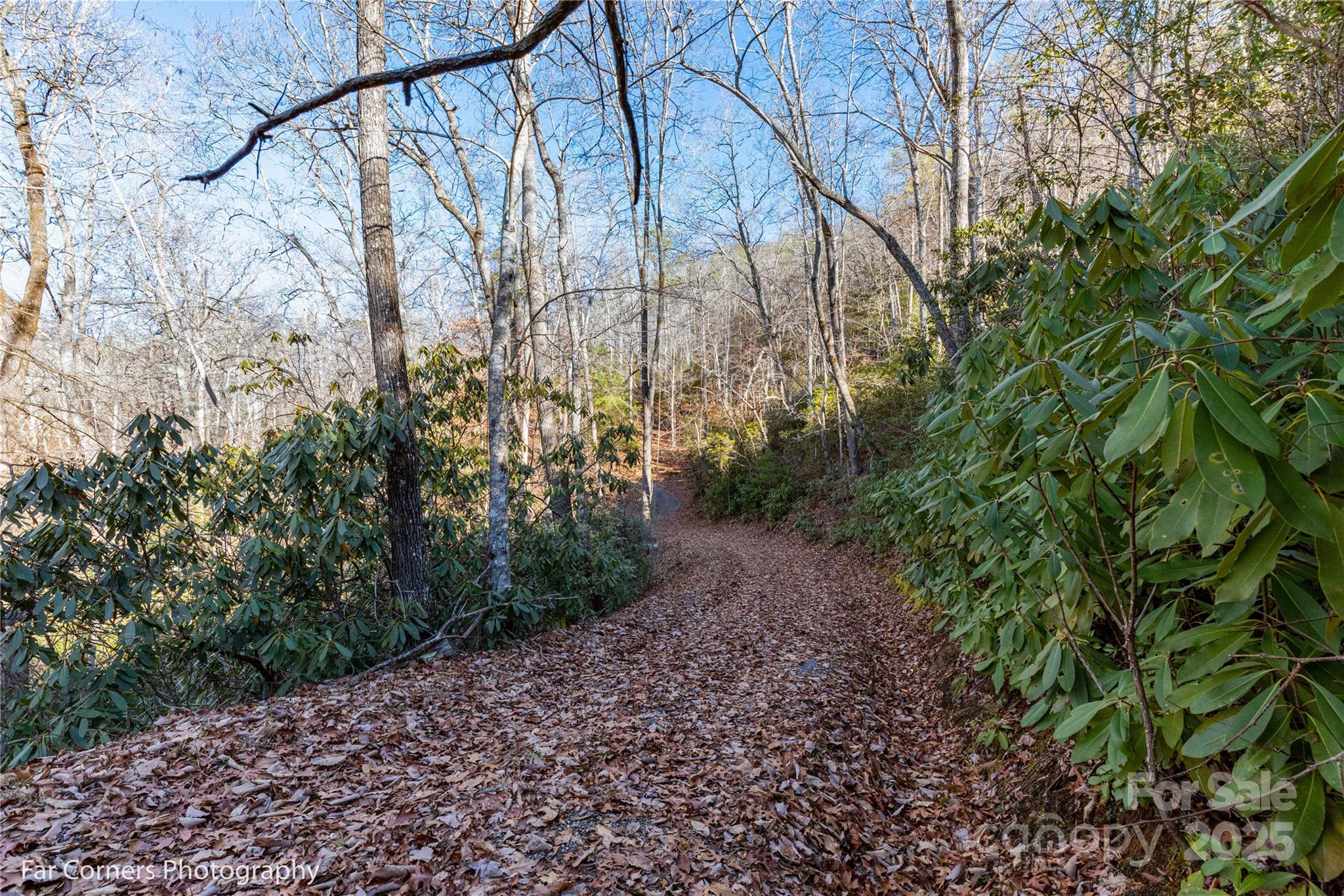 0 Sourwood Road Canton, NC 28716 - Photo 24 of 35 a backyard of a house with lots of green space
