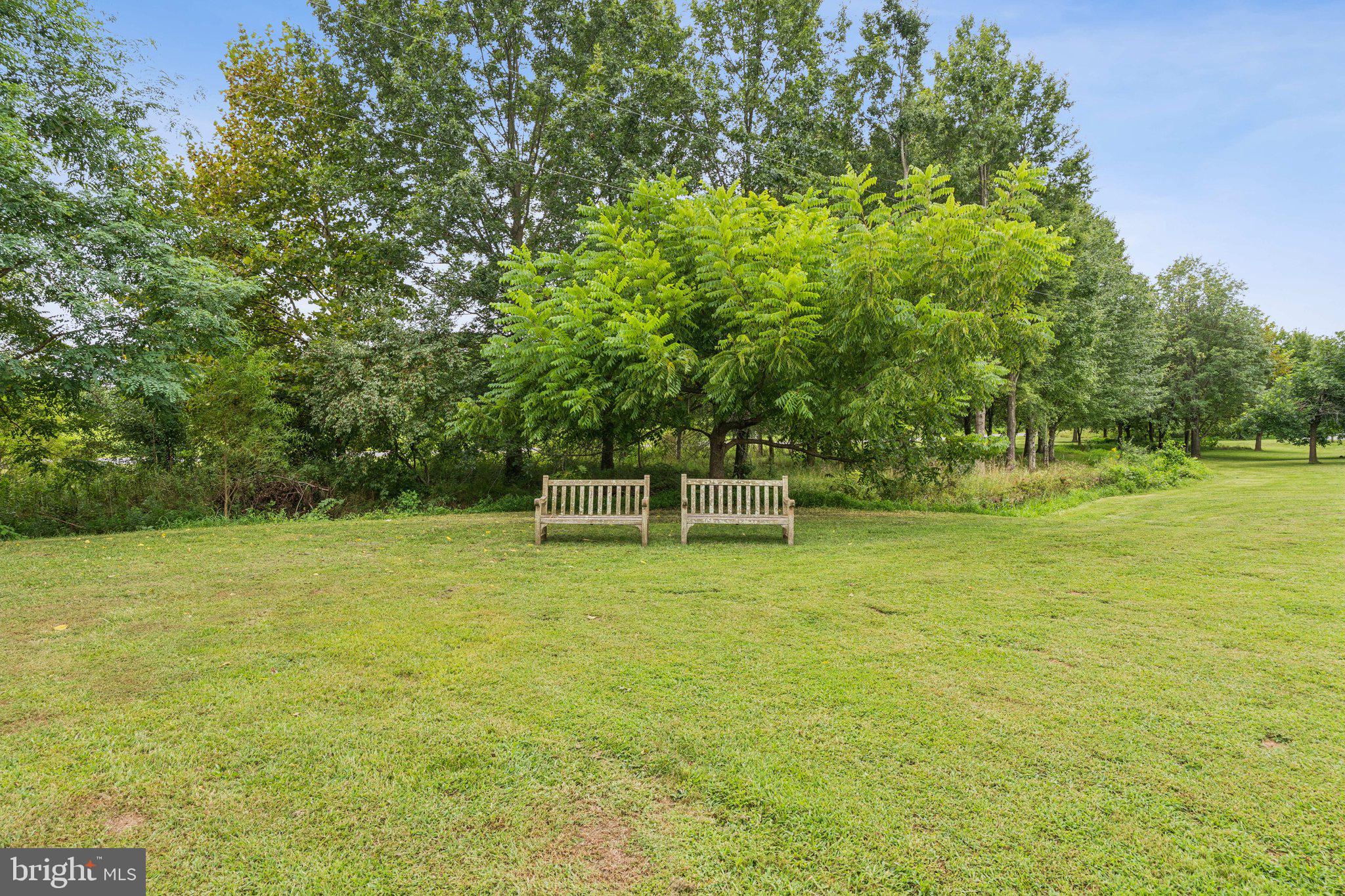 35490 Sunny Ridge Road Round Hill, VA 20141 - Photo 56 of 68 Tranquil park bench retreat