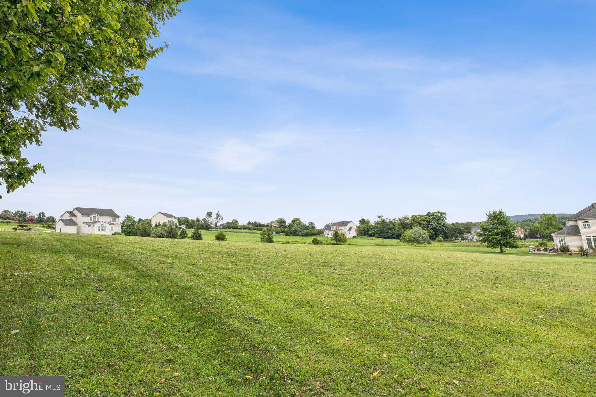 35490 Sunny Ridge Road Round Hill, VA 20141 - Photo 57 of 68 Spacious green landscape with homes.
