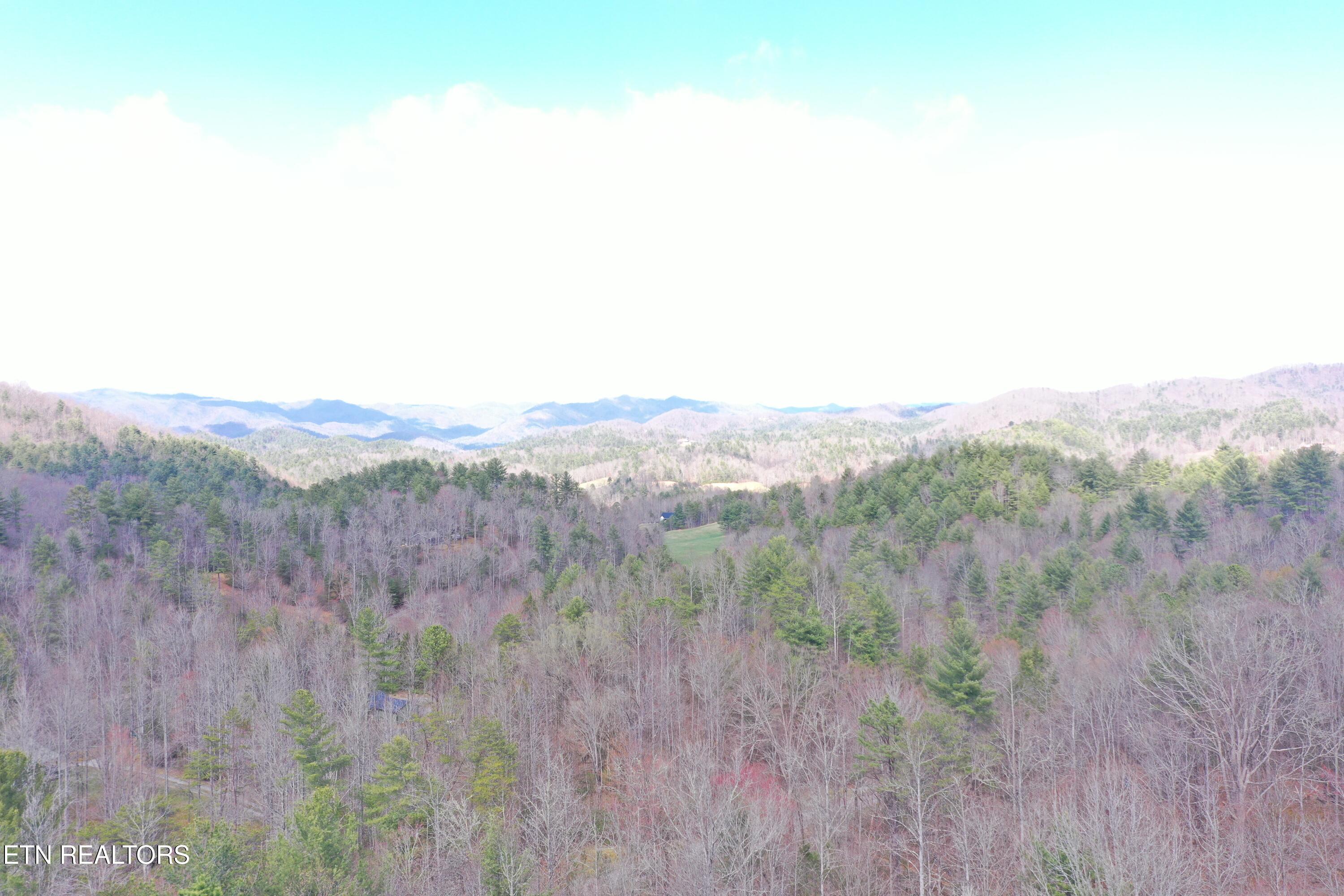 Round Mountain Del Rio, TN 37727 - Photo 11 of 18 DJI_0233