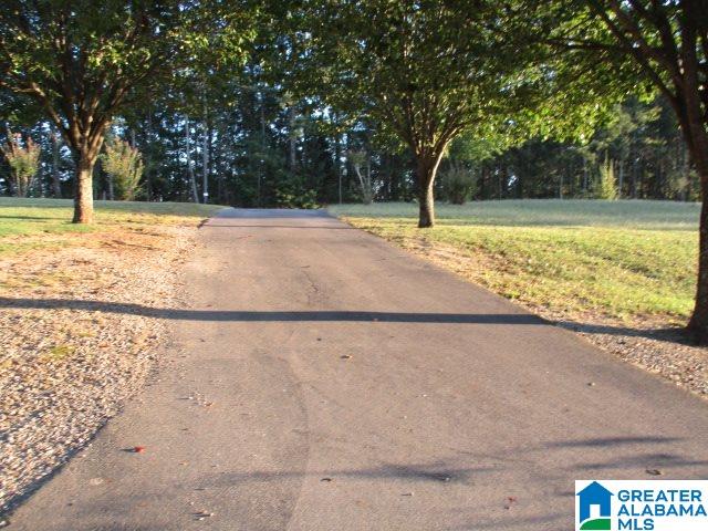 4153 Airport Road Altoona, AL 35952 - Photo 9 of 16