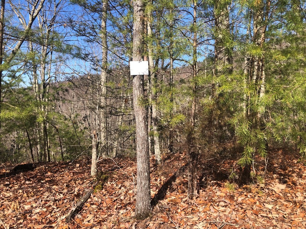 40 Hickory Tree Street Sevierville, TN 37876 - Photo 10 of 22