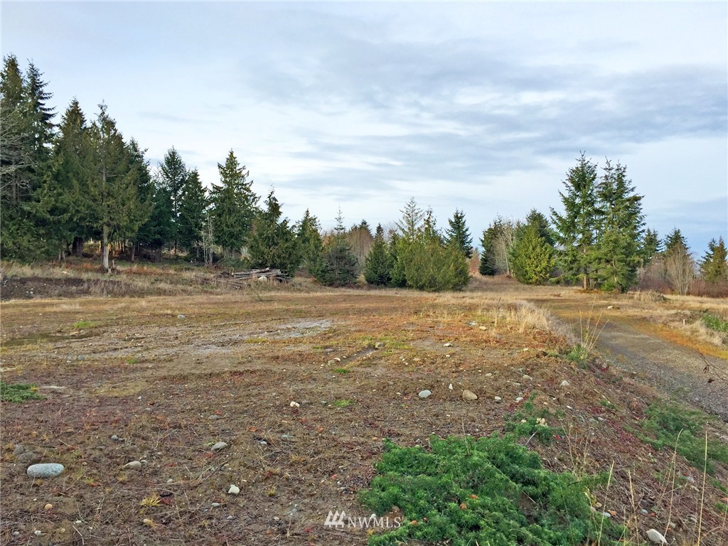51 Exeter Street Sequim, WA 98382 - Photo 14 of 25