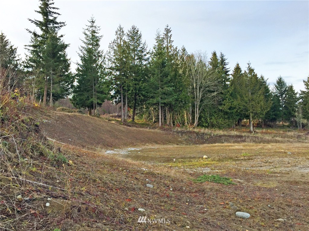 51 Exeter Street Sequim, WA 98382 - Photo 15 of 25